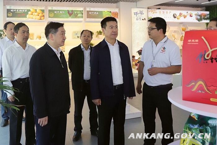 郭青在镇坪、岚皋调研脱贫攻坚等工作 强调强化投资信息咨询助力精准脱贫