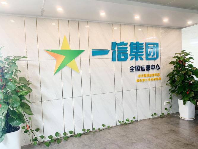 广西一信投资咨询有限公司相关信息梳理与实际应用指引